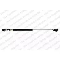 Амортизатор багажника, упор задней двери ROC GS1054 IAML SIQ Hyundai Terracan 2X4C1