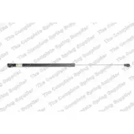 Амортизатор багажника, упор задней двери ROC 2832230 GS1145 XYAR1B P34 XGU