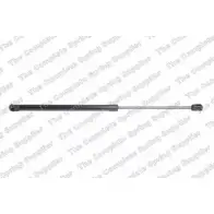 Амортизатор багажника, упор задней двери ROC GS1667 2832731 RC I18Z RMT8DD