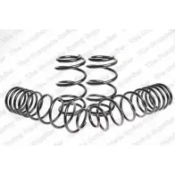 Комплект ходовой части, пружины ROC SKI2 G YAKKMSU 2833459 KL944508