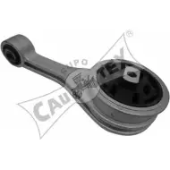 Подушка двигателя, опора CAUTEX YVSBCC 080204 Ford Fiesta 4 (DX, JA, JB) Хэтчбек 1.8 D 60 л.с. 1995 – 2000 6 03YE95