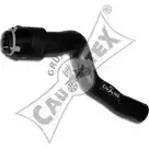 Патрубок радиатора, шланг CAUTEX FRTOA Opel Astra (G) 2 Кабриолет 1.6 16V (F67) 101 л.с. 2001 – 2005 OT1F8 CM 481050