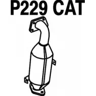 Катализатор FENNO 6438013002294 4ZGH G7S P229CAT 2896902