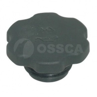Крышка маслозаливной горловины OSSCA 1440503999 06168 S8R RUJ