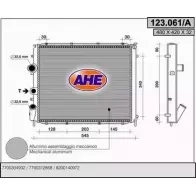 Радиатор охлаждения двигателя AHE 123. 061/A 123.061/A 2925796 9V1CGR