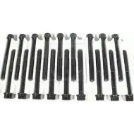 Болты ГБЦ, головки блока цилиндров NPS T128A21 561SC R 3007345 83WHC