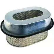 Воздушный фильтр ASHUKI P QPLPJ C056-05 3039563 5V3X3