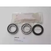 Ступичный подшипник, комплект ASHUKI K800-05 DQI83FV 3047225 KWG3 NB