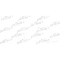 Сетка топливного насоса PATRON 3OD UL hs109001 1425554905