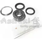 Ступичный подшипник, комплект ASHUKI T060-15 3053064 3KTUXUB Z SJJ02