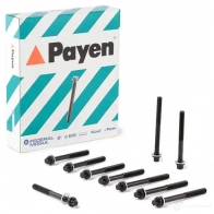 Комплект болтов ГБЦ PAYEN 1177581 HBS102 M8 2K5 - Изображение 2