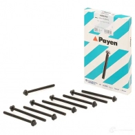 Комплект болтов ГБЦ PAYEN Y HSV1K HBS253 1177654 - Изображение 2