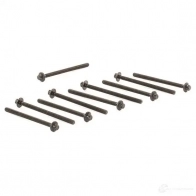 Комплект болтов ГБЦ PAYEN Y HSV1K HBS253 1177654 - Изображение 3