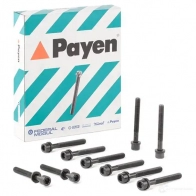 Комплект болтов ГБЦ PAYEN HBS043 D ZXIRG 1177540 - Изображение 2