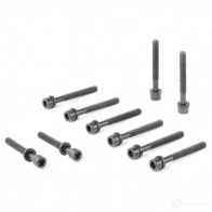 Комплект болтов ГБЦ PAYEN HBS043 D ZXIRG 1177540 - Изображение 3
