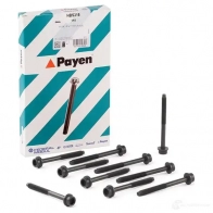Комплект болтов ГБЦ PAYEN 1177705 M H3P1 HBS316 - Изображение 2