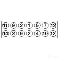 Комплект болтов ГБЦ PAYEN 1177562 HBS067 H0M0 FQ - Изображение 2