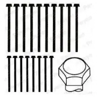 Комплект болтов ГБЦ PAYEN P EF7EYU HBS296 1177687 - Изображение 2