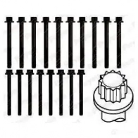 Комплект болтов ГБЦ PAYEN I02G U 1177680 HBS288 - Изображение 2
