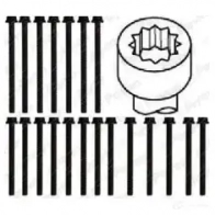 Комплект болтов ГБЦ PAYEN LBD F8 HBS466 1177782 - Изображение 2