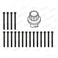 Болты ГБЦ, головки блока цилиндров PAYEN hbs409 5WC8 WB 1177744 - Изображение 2