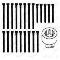 Комплект болтов ГБЦ PAYEN YHQ 4C9 HBS046 1177543 - Изображение 2