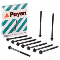 Комплект болтов ГБЦ PAYEN HBS544 GFQ L8 1177849 - Изображение 2