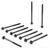 Комплект болтов ГБЦ PAYEN HBS544 GFQ L8 1177849 - Изображение 3