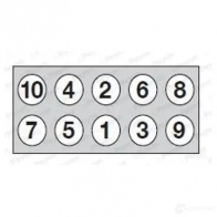 Комплект болтов ГБЦ PAYEN HBS544 GFQ L8 1177849 - Изображение 6