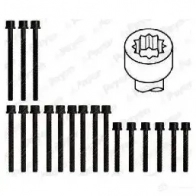 Комплект болтов ГБЦ PAYEN HBS461 N2 Y8JZ 1177778 - Изображение 2
