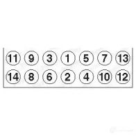 Комплект болтов ГБЦ PAYEN Y0LU09 T 1177755 HBS426 - Изображение 2
