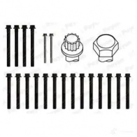 Комплект болтов ГБЦ PAYEN LJ W67 1177636 HBS216 - Изображение 2
