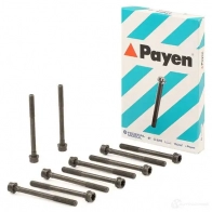 Комплект болтов ГБЦ PAYEN 1177710 HBS353 O 83Q1D - Изображение 2