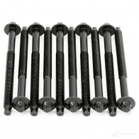 Комплект болтов ГБЦ PAYEN P87 SH HBS359 1177713 - Изображение 3