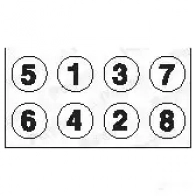 Комплект болтов ГБЦ PAYEN 0R QZI HBS479 1177793 - Изображение 2
