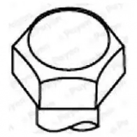 Комплект болтов ГБЦ PAYEN D 9XXS 1177566 HBS071