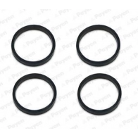 Прокладка впускного коллектора PAYEN Volkswagen Caddy (9K, 9U) 2 1995 – 2004 JD6160 QVKU4 6