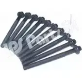 Болты ГБЦ, головки блока цилиндров IPS PARTS YHZKH ICB-9110 3106893 B 8XZJG