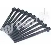 Болты ГБЦ, головки блока цилиндров IPS PARTS 3106894 ICB-9111 DZFX RTL LLZP28M