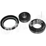 Ступичный подшипник, комплект IPS PARTS IUB-10114 496SJPA CV DKC 3112645