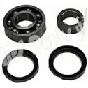 Ступичный подшипник, комплект IPS PARTS 3112903 1P7K PS9 GZQHA IUB-10610