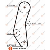 Ремень ГРМ EUROREPAR 1424552651 FVCRI6 1633139580 D8 RG1S