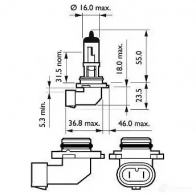 Галогенная лампа птф PHILIPS GOC 52974530 9145C1 837295 H10 - Изображение 3