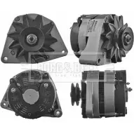 Генератор BORG & BECK BBA2088 3143531 GI79X24 JUO5C 8V