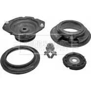 Опора амортизатора BORG & BECK BSM5229 Renault Laguna (BG) 2 Хэтчбек 2.0 16V (BG00. BG0K. BG0P. BG0W) 135 л.с. 2002 – 2007 H DY8Y XYQ53H