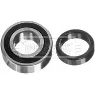 Ступичный подшипник, комплект BORG & BECK PNFVD BWK022 QZ7F5X E 3169428