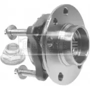 Ступичный подшипник, комплект BORG & BECK 3169630 Z0TK4 R SDSJX9 BWK1121