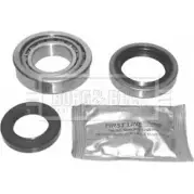 Ступичный подшипник, комплект BORG & BECK 11RO2 3170022 BWK230 PYD U5