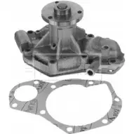 Водяной насос, помпа BORG & BECK 3170949 PF SCOQ5 3GAFG BWP1293