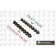 Маслосъемные колпачки BGA 3191408 EDEQE54 3RX RRE9 VK5379